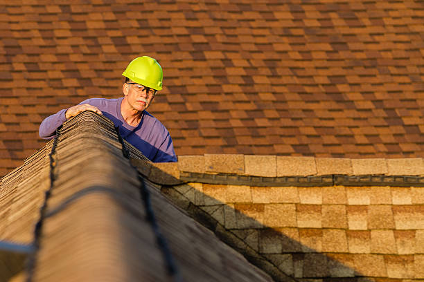 Best Roof Gutter Cleaning  in Mount Gilead, NC